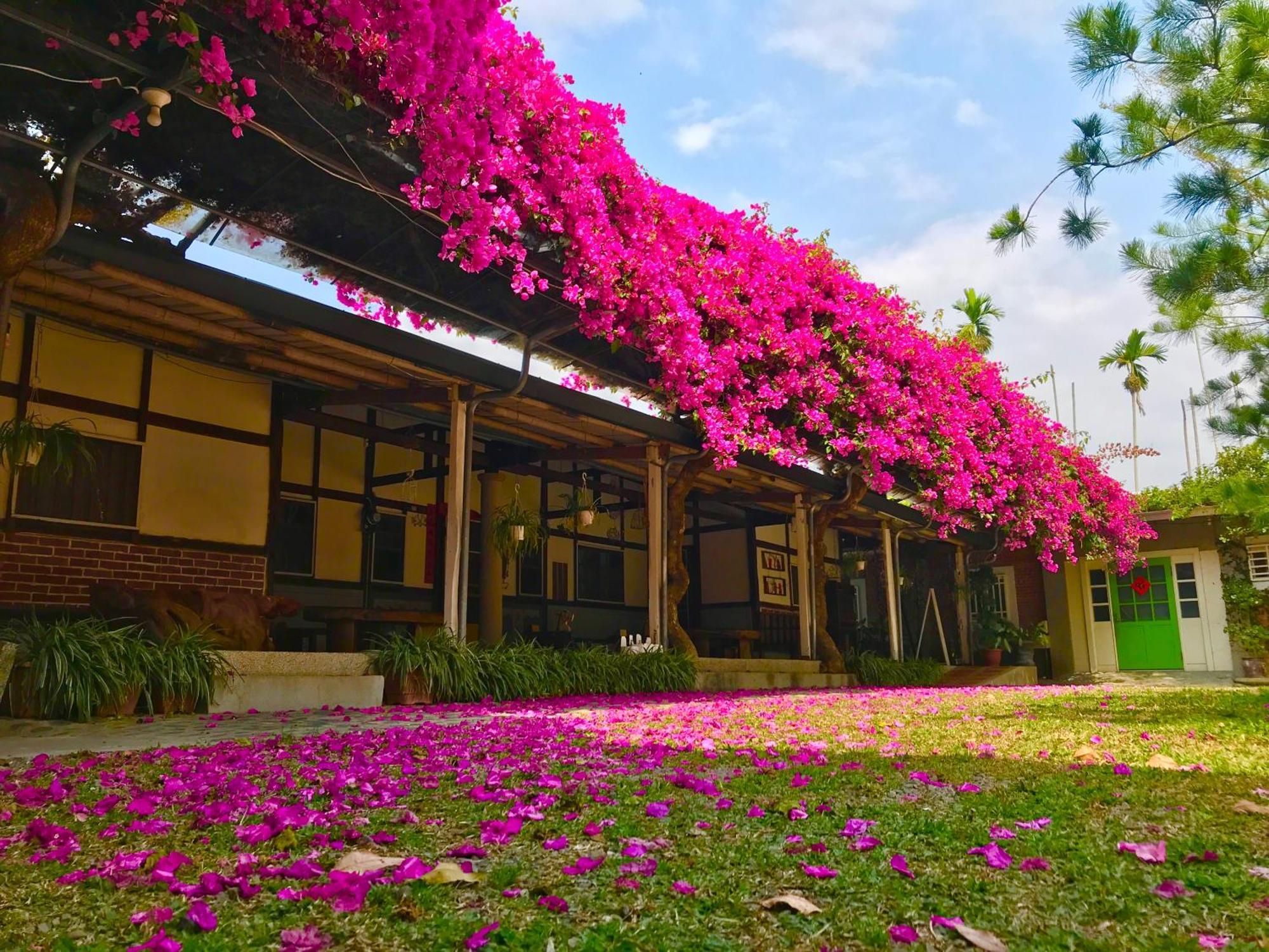 Inn By Tree Fujin Exterior foto