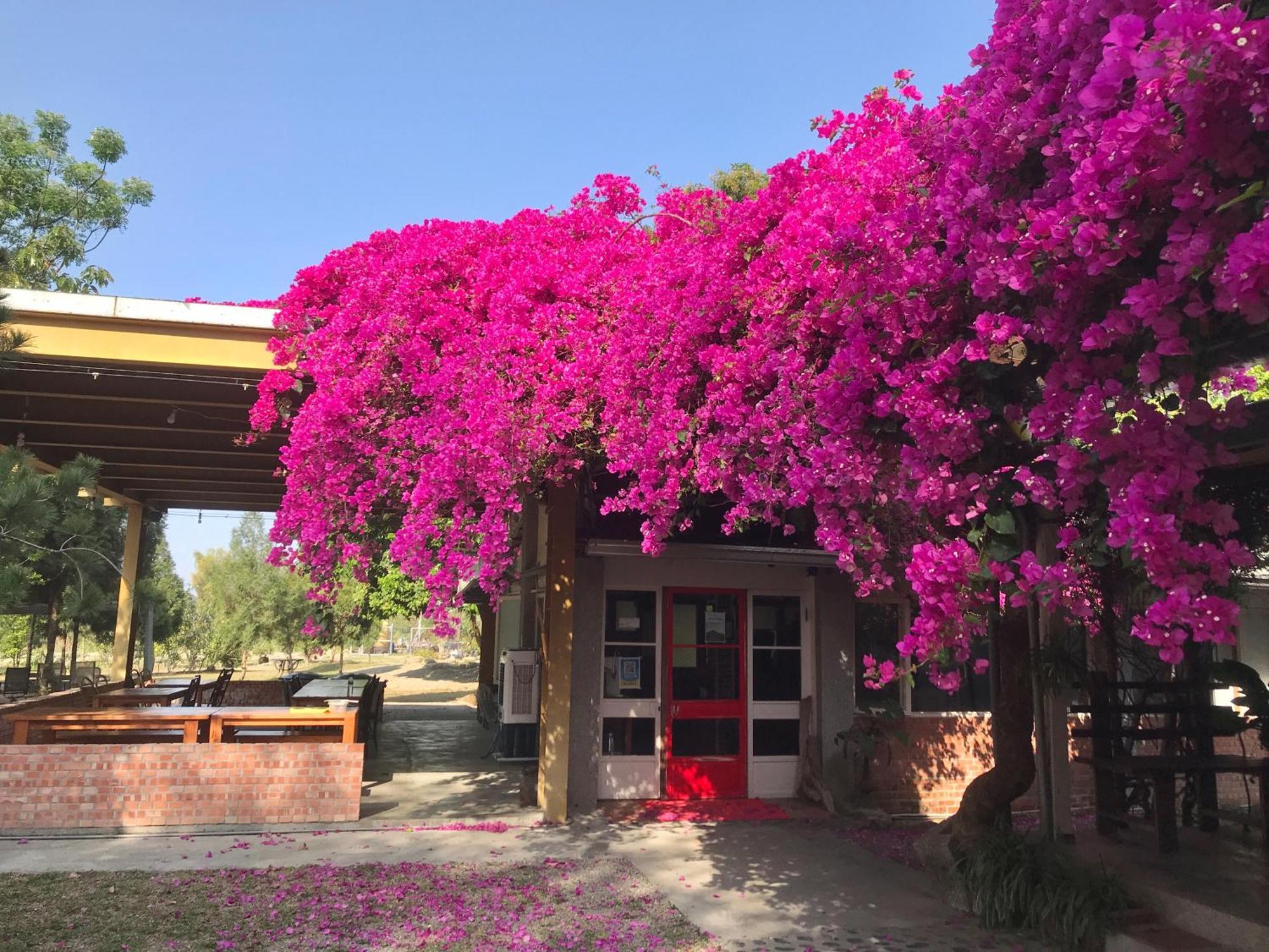 Inn By Tree Fujin Exterior foto