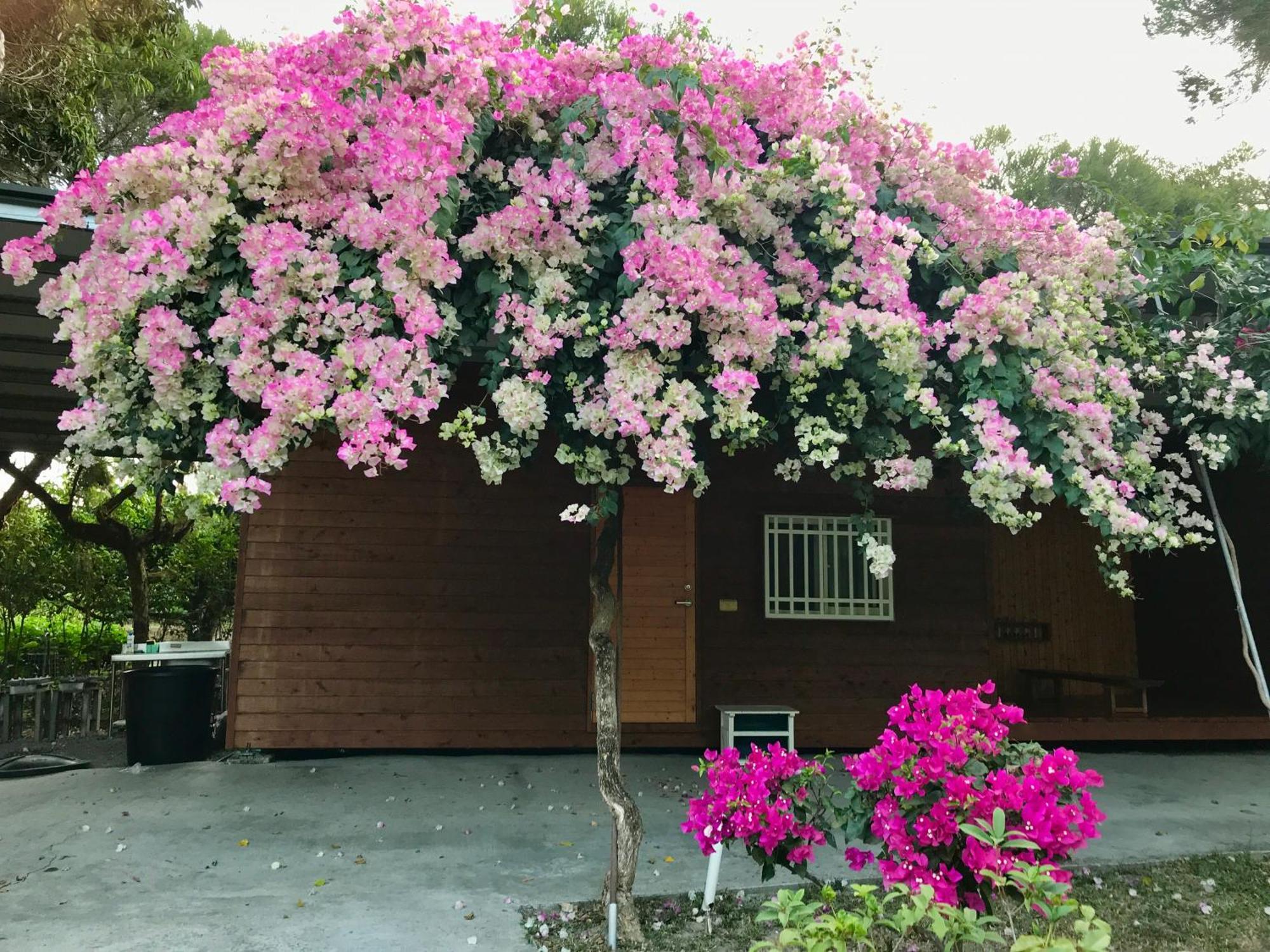Inn By Tree Fujin Exterior foto